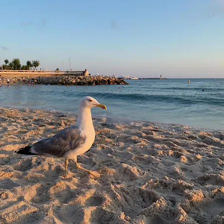 Beautiful Center Terrace Parking 아파트