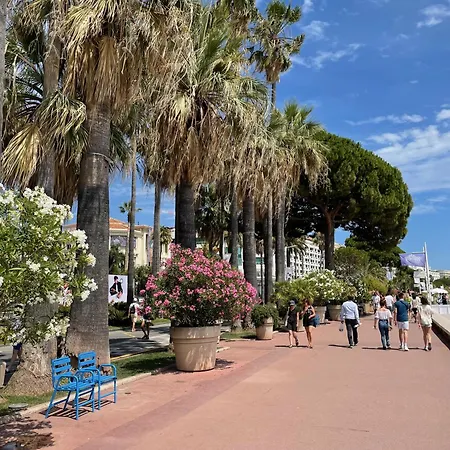 Apartment Beautiful Center Terrace Parking Cannes