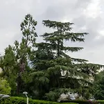 Beautiful Center Terrace Parking * كان