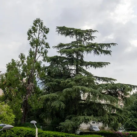 Beautiful Center Terrace Parking * Κάννες